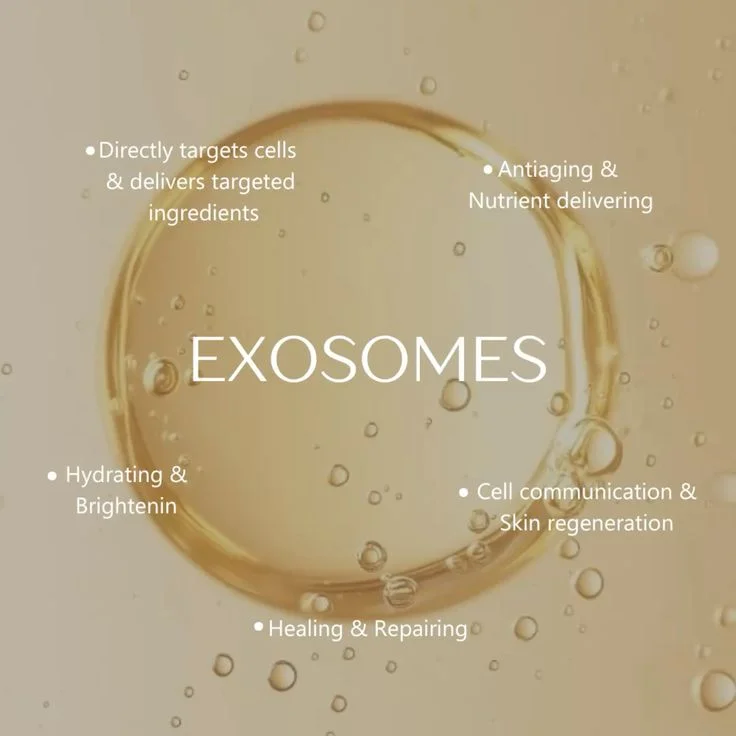 Exosome vesicles carrying growth factors for hair follicle regeneration